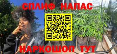 ешки Гагарин