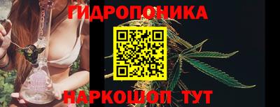 ешки Гагарин