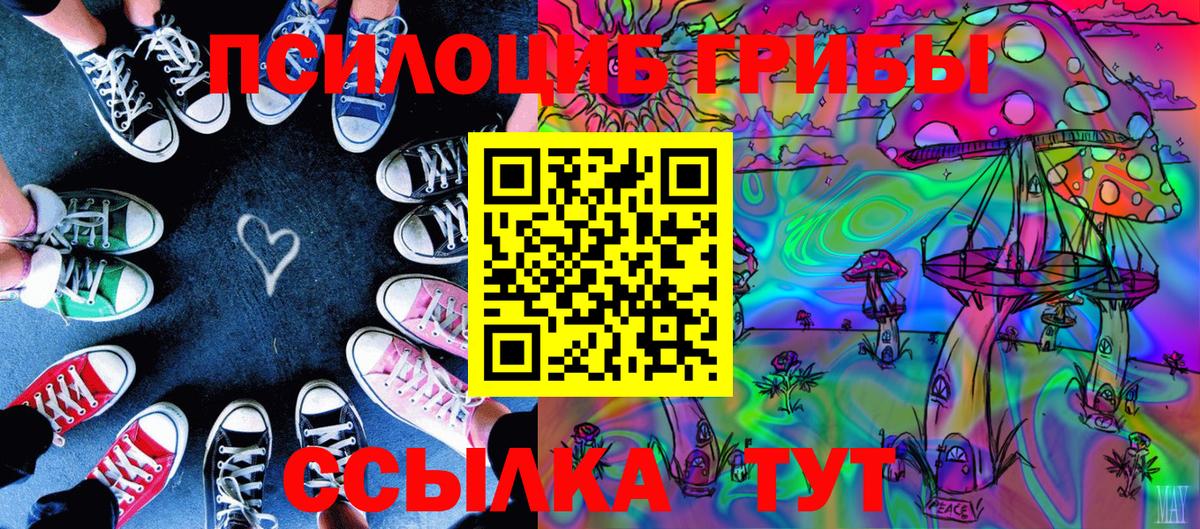 Псилоцибиновые грибы Psilocybine cubensis Кинель